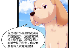 狗粮动漫,甜蜜治愈，温馨陪伴的视觉盛宴